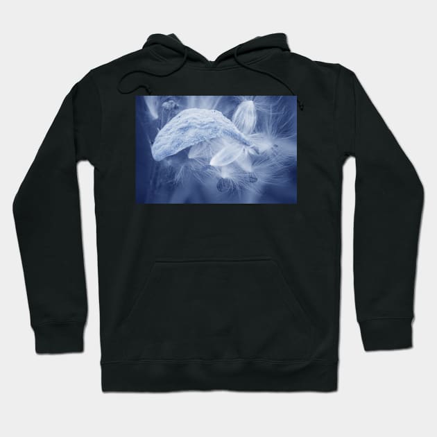 Flight... Hoodie by LaurieMinor